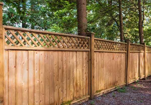 Fence Installation: Cost, Options, and What to Know in 2025